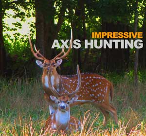 Axis Deer Hunting Tennessee