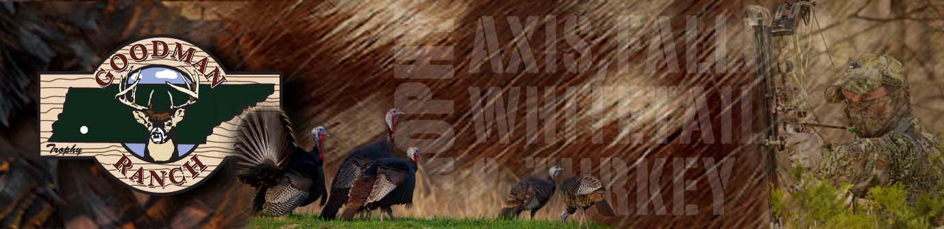 Exotic Tennessee Hunts Goodman Ranch