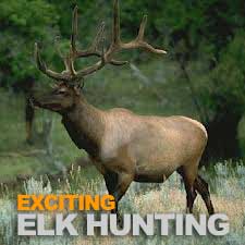 Elk Hunting Tennessee